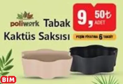 POLİWORK TABAK KAKTÜS SAKSISI
